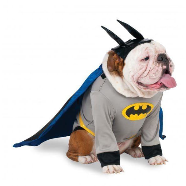 Big Dog Batman Costume