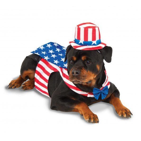 Big Dog Uncle Sam Costume