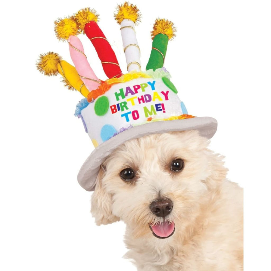 Birthday Cake Hat Pet Costume